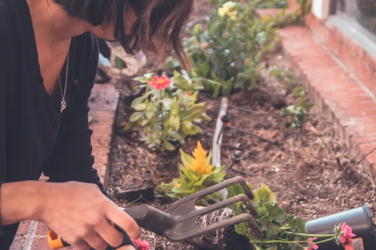 gardening