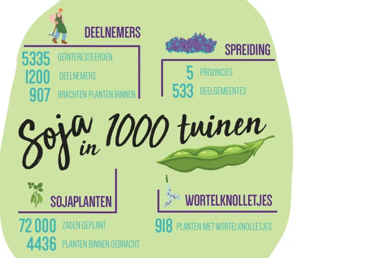 infographic