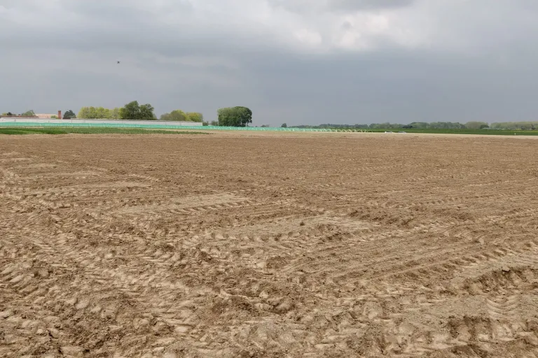 Gezaaid veld