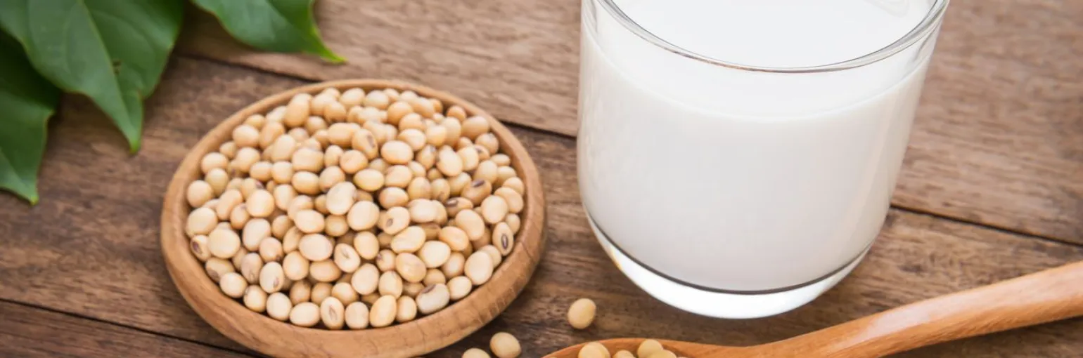 soy milk