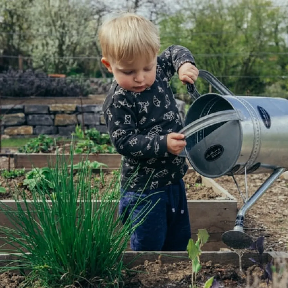 kid garden