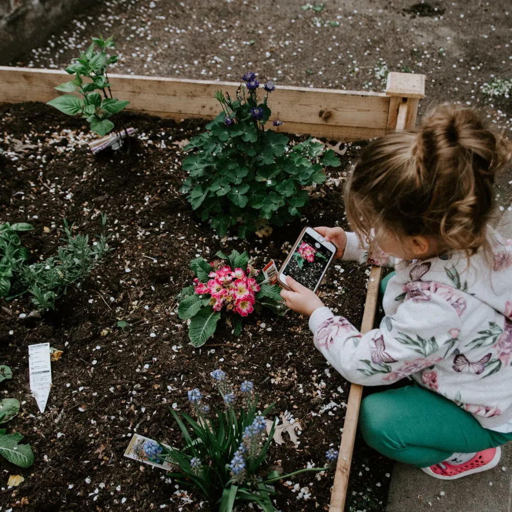 kid garden