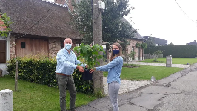 De eerste soja plant!
