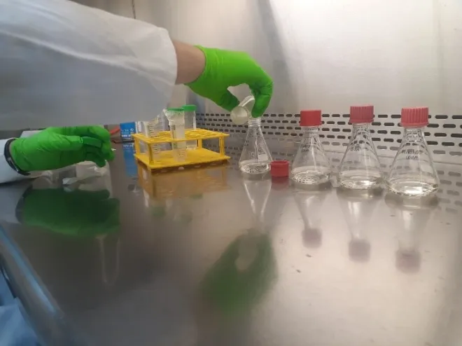 5 ml cultuur overgieten in 30 ml