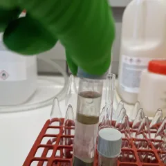 Extractie vetzuren met solventen uit gevriesdroogde bodem 