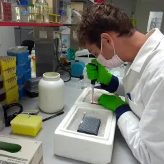 Voorbereiding om het DNA te vermeerderen via PCR