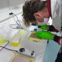 PCR product laden op een gel