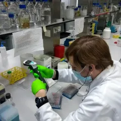 PCR product opzuiveren
